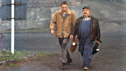 Heimat, süße Heimat Bild 6