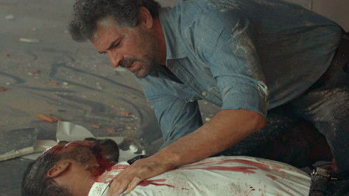 Delfines de plata Bild 1