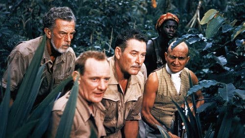 Die Wurzeln des Himmels Bild 2