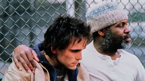 Streets of New York Bild 6