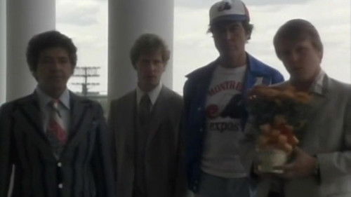 Les chiens chauds Bild 4