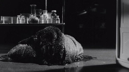 Caltiki - Rätsel des Grauens Bild 5