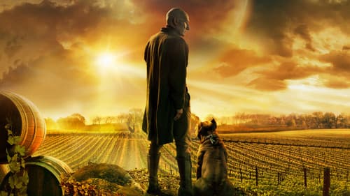 Star Trek: Picard Bild 3