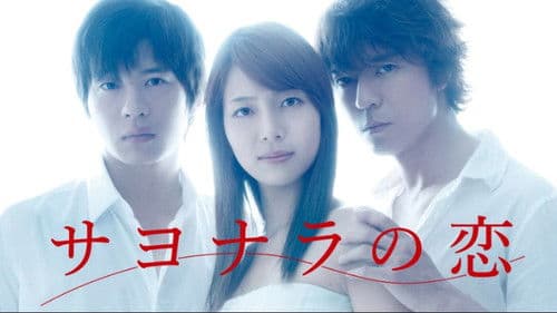 サヨナラの恋 Bild 1