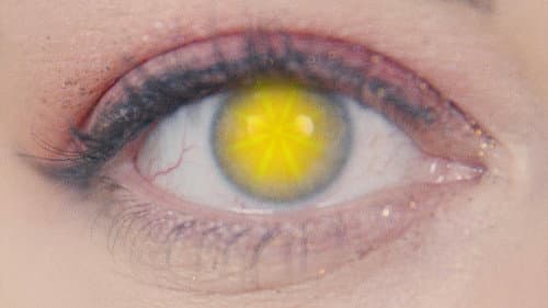 Close-Up: an oddyssey Bild 7