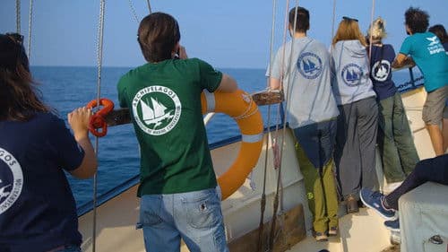 Saving the Hidden Coral of the Mediterranean Bild 1