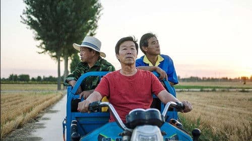 平原上的夏洛克 Bild 2