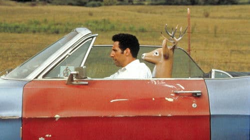 Box of Moonlight Bild 4