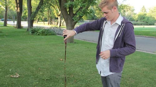 Deer in the Headlight Bild 2