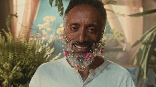 O Leve Bailar das Borboletas Bild 1