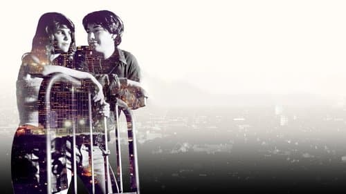 Eine verrückte Reise durch die Nacht Bild 1