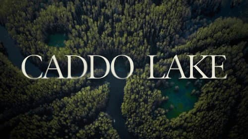 Caddo Lake Bild 8