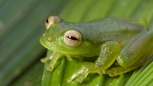 Mission Amazonas Bild 2