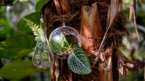 La hija de Rappaccini Bild 2