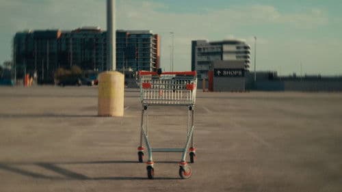 The Trolley Problem Bild 1