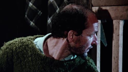 Crying Fields Bild 2