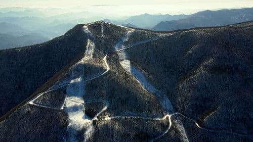 종이 울리는 순간 Bild 1