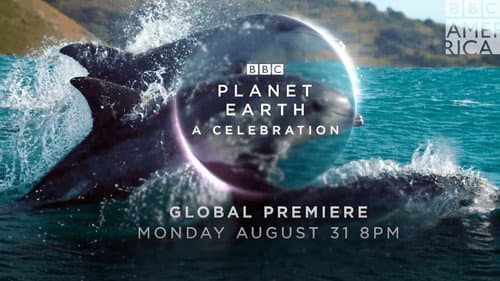 Planet Earth: A Celebration Bild 1