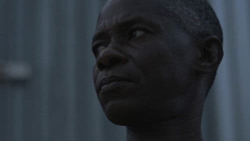 Yellow Fieber Bild 1