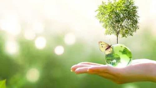 Earth Emergency Bild 2