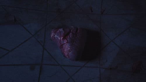 Mater Superior Bild 5