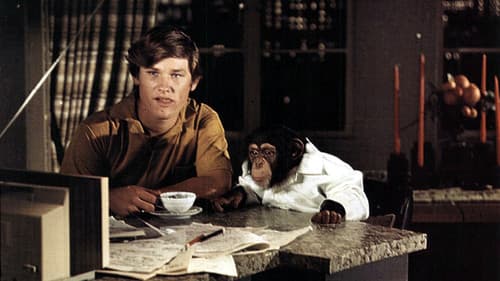 Der barfüßige Generaldirektor Bild 4