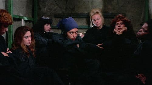 Ich, die Nonne und die Schweinehunde Bild 2