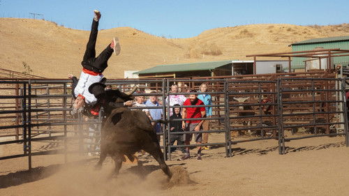 Jackass Forever Bild 7