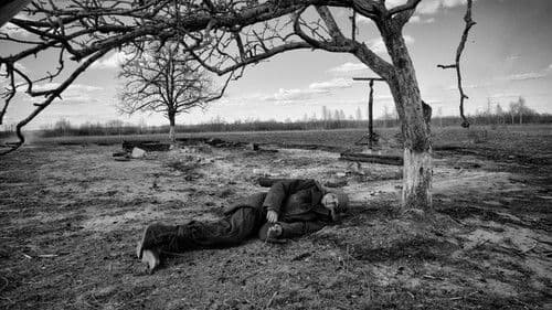 The Painted Bird Bild 3