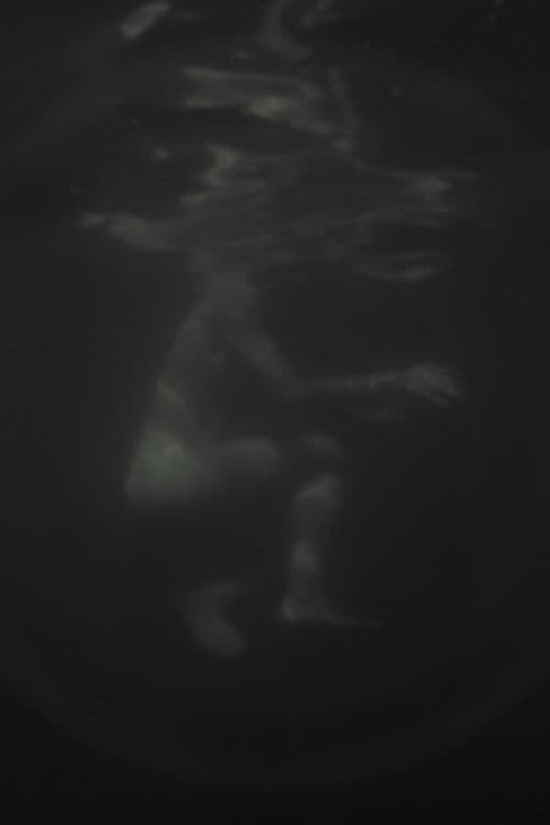 Hazug disznók az álmok is