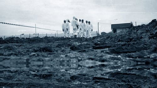 Ossi di Seppia - Il rumore della memoria Bild 1