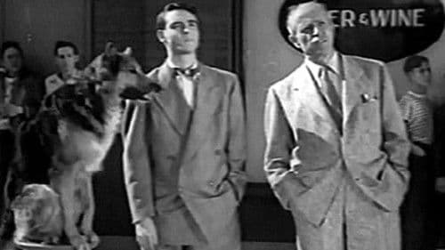 The Flaming Urge Bild 2