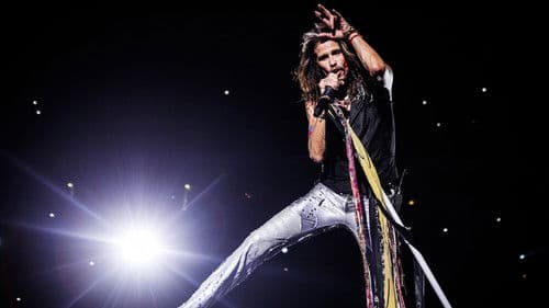 Steven Tyler: Out on a Limb Bild 2