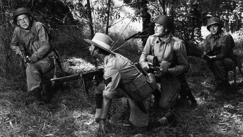 Der Held von Burma Bild 8