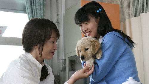 犬と私の10の約束 Bild 6