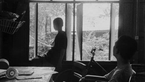 ดอกฟ้าในมือมาร Bild 1