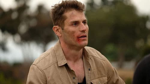 Final Frequency Bild 1