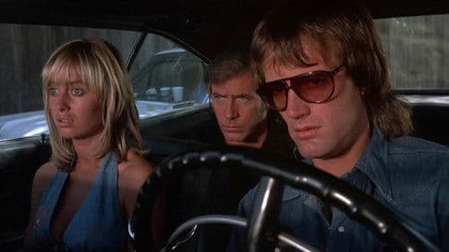 Kesse Mary - Irrer Larry Bild 3