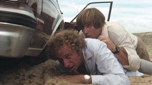 Der Hornochse und sein Zugpferd Bild 1