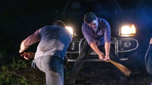 Crimson Point Bild 3