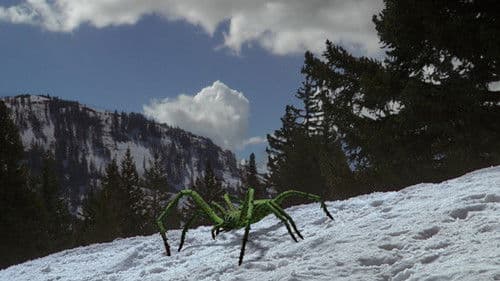 Ice Spiders Bild 4