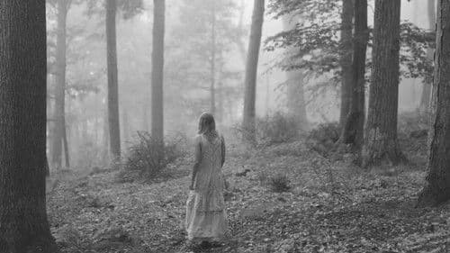 Folklore: The Long Pond Studio Sessions Bild 7