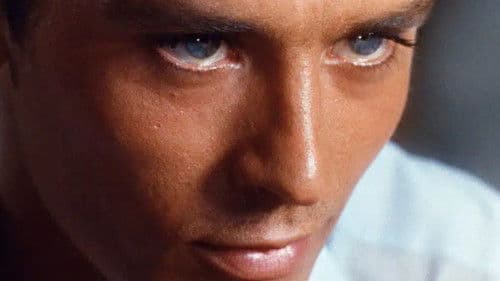 Alain Delon, la solitude d'un fauve Bild 3