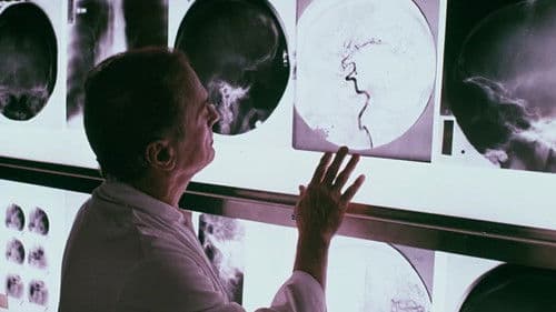 Brain Check - Das andere Ich Bild 5