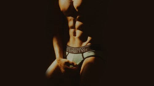 The Whole Package Bild 2