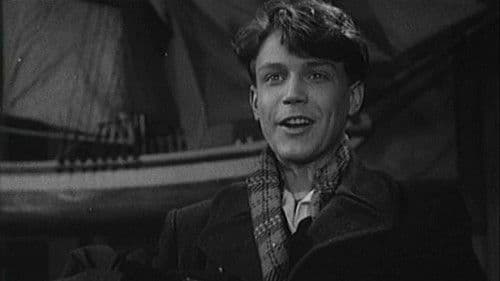 Der 15jährige Kapitän Bild 1