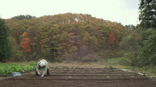 Little Forest: Winter/Spring Bild 7