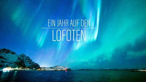Ein Jahr auf den Lofoten Bild 1