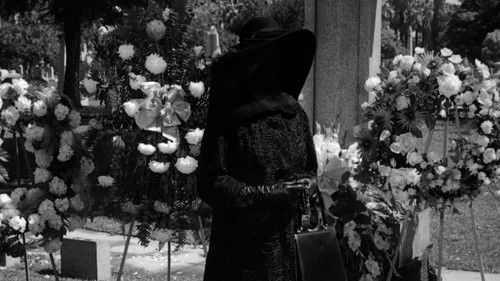 Der schwarze Kreis Bild 7