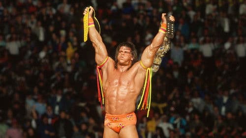 WWE WrestleMania VI Bild 6